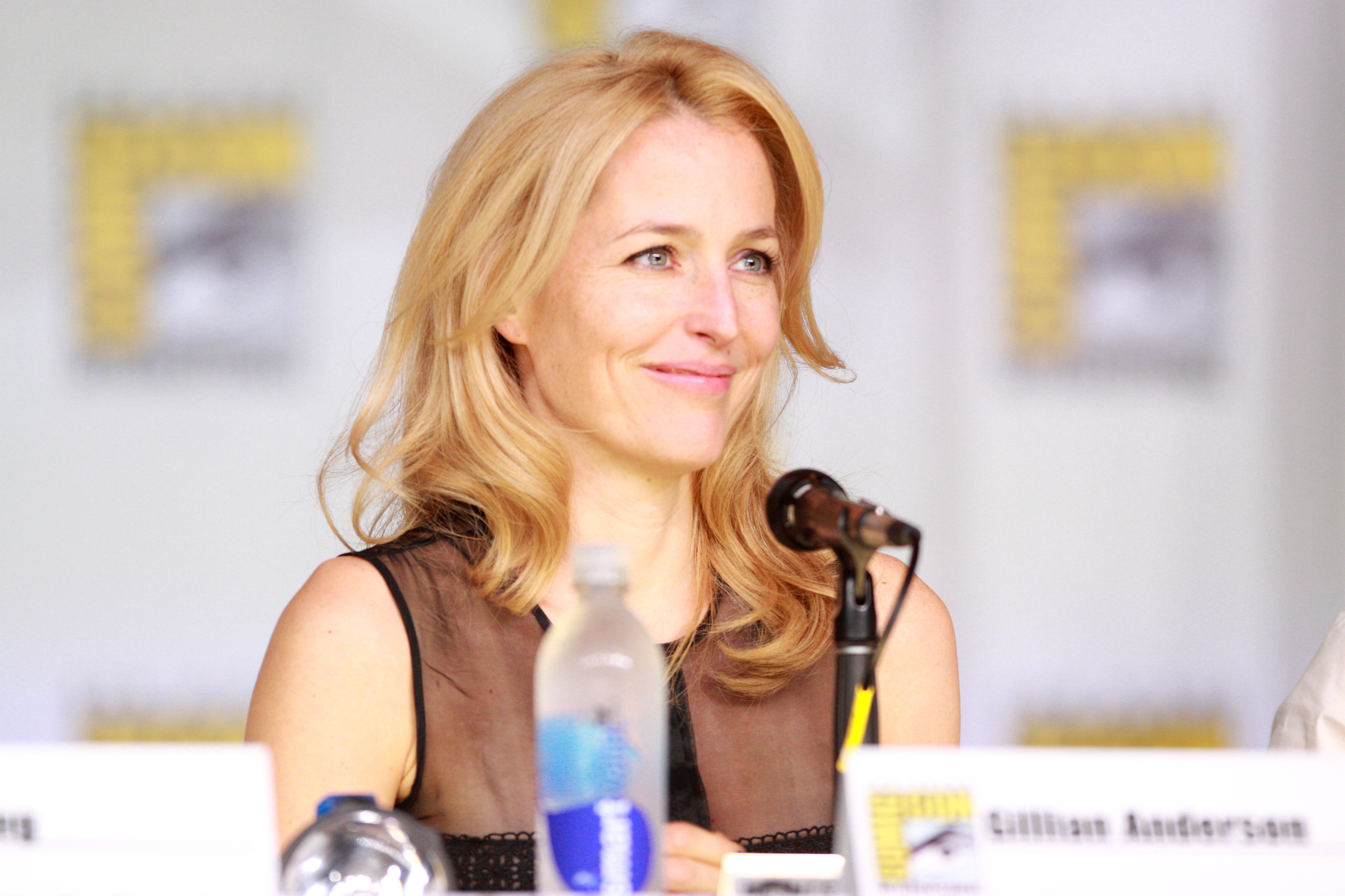 Gillian Anderson 378